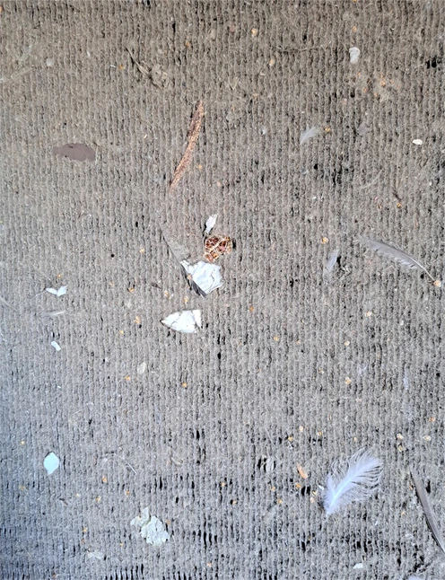 Kuva: Ilmanvaihtokenno ennen pesua.